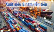 Việt Nam xuất siêu 8 năm liên tiếp