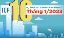 Top 10 dự án được đánh giá nhiều nhất tháng 1/2023