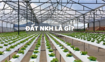 Đất NKH là gì? Có được xây nhà trên đất NKH?