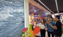 Ra mắt tấm đá khổ lớn công nghệ vân xuyên sáng “made in Vietnam”