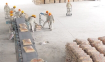 Một công ty xi măng lên kế hoạch… lỗ năm thứ 8 liên tiếp