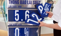Lãi suất “hạ nhiệt”, ngành thép và bất động sản được hưởng lợi?