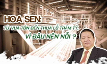Vừa sản xuất vừa bán lẻ, “vua tôn” Hoa Sen lỗ gần 7 tỷ mỗi ngày