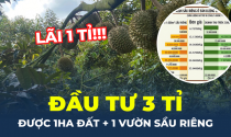 Xuất hiện hình thức đầu tư mới, không làm gì vẫn lãi cả tỉ