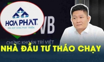 Một công ty bất ngờ lên tiếng khi bị kiểm toán nhấn mạnh về khoản lỗ cổ phiếu Hòa Phát