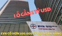 Lỗ gần tỷ USD nhưng EVN vẫn có hơn 100.000 tỷ gửi ngân hàng