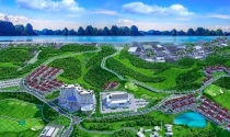 Thủ tướng đồng ý cho Vingroup tăng vốn dự án đảo Vũ Yên lên 3 lần