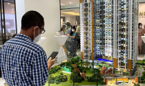 Chính phủ yêu cầu lập các sàn giao dịch bất động sản tập trung, báo cáo lộ trình trong tháng 8