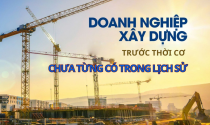 Loạt “ông lớn” Vinaconex, Coteccons, Fecon, Đèo Cả… đứng trước thời cơ chưa từng có