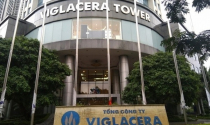 Viglacera chi trả cổ tức “khủng”, có cổ đông nhận về cả trăm tỷ đồng