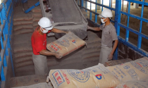 Bất chấp thị trường bất động sản ảm đạm, Xi măng Long Thành bất ngờ báo lãi tăng đột biến hơn 6.200% so với cùng kỳ