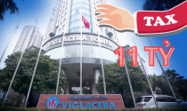 Lãi hơn nghìn tỷ, Viglacera bị Tổng cục Thuế xử phạt vì lý do gì?
