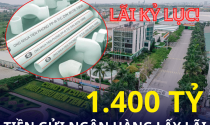 Công ty sản xuất nhựa lớn nhất miền Bắc với 3 nhà máy và 1.500 lao động báo lãi cao kỷ lục, có hơn nghìn tỷ gửi ngân hàng