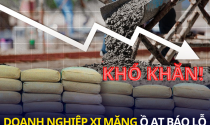 “Sức khỏe” của doanh nghiệp xi măng qua những con số biết nói
