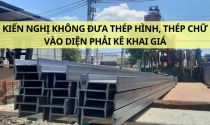 UBND tỉnh Bình Định kiến nghị không đưa thép hình, thép chữ, thép ống… vào diện phải kê khai giá