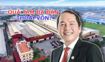 Thấy gì từ việc hàng loạt lãnh đạo Tập đoàn Hoa Sen đua nhau bán sạch cổ phiếu?