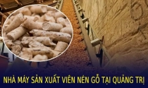 Quảng Trị sắp có nhà máy sản xuất viên nén gỗ năng lượng 500 tỷ đồng