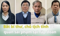 Chủ tịch, bí thư tỉnh vừa bị bắt liên quan đến sai phạm tại Tập đoàn Phúc Sơn