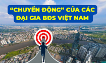 Các đại gia bất động sản Việt Nam làm gì trong năm “bản lề”?