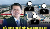 Biến động lớn tại bộ máy lãnh đạo Tập đoàn Hoa Sen