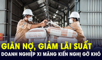 Doanh nghiệp xi măng kiến nghị bỏ thuế xuất khẩu clinker, muốn được vay vốn lãi suất ưu đãi