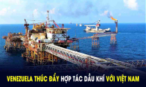 Venezuela thúc đẩy hợp tác dầu khí, sản xuất vật liệu xây dựng với Việt Nam
