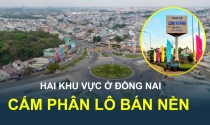 Hai khu vực đặc biệt này của Đồng Nai sẽ bị cấm phân lô bán nền