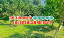 Hỏi về việc chuyển đất nông nghiệp sang đất sản xuất kinh doanh