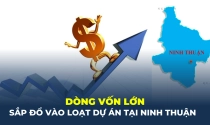 Dòng vốn lớn sắp đổ vào loạt dự án bất động sản tại Ninh Thuận