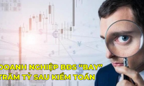 Lợi nhuận doanh nghiệp bất động sản “bay” trăm tỷ sau kiểm toán