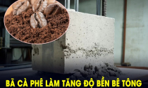 Phát hiện mới bã cà phê có thể làm tăng độ bền của bê tông