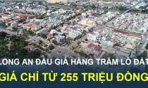 Long An sắp đấu giá hàng trăm lô đất tại khu vực sẽ lên thành phố