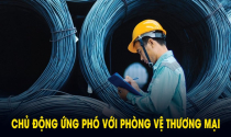 Hàng Việt đối mặt 249 vụ điều tra phòng vệ thương mại, từ đồ gỗ nội thất... tới hạt nhựa đều vào “tầm ngắm”