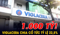 Cổ đông của Viglacera sắp nhận thêm tin vui