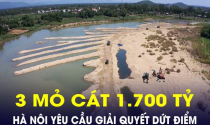 Hà Nội có chỉ đạo mới về vụ đấu giá 3 mỏ cát 1.700 tỷ, cao gấp 70 lần giá khởi điểm