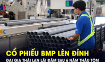 Cổ phiếu công ty nhựa lớn nhất miền Nam chạm đỉnh lịch sử, “đại gia” Thái Lan tạm lãi 2.700 tỷ sau 6 năm thâu tóm