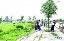 Kịp thời chấn chỉnh tình trạng 'bỏ cọc'sau đấu giá đất