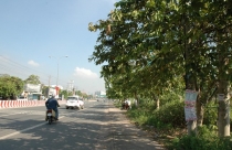 Nhà đầu tư về tỉnh kiếm bạc lẻ