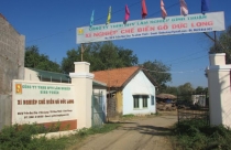 Lâm nghiệp Bình Thuận dính nhiều sai phạm về đất đai