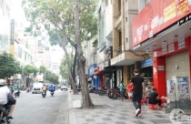 Mỗi ngày có khoảng 430 doanh nghiệp "rụng" khỏi thị trường