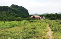 Mua đất vệ tinh, coi chừng đi vào vết xe cũ