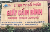 Cẩm Giàng (Hải Dương): Doanh nghiệp xây dựng trái phép, gây ô nhiễm nhưng không bị xử lý?