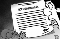 Khi hợp đồng dân sự bị vô hiệu hóa