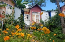 Hết thời rủng rỉnh, chủ homestay ồ ạt rao bán lỗ tiền tỷ