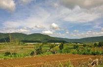 Lâm Đồng: Đất trồng cây lâu năm được ‘’làm đẹp’’ rồi quảng cáo rao bán như khu nghỉ dưỡng, khu sinh thái,…