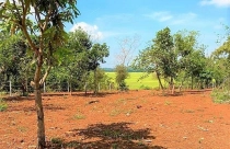 Dựng chòi trên đất ‘view’ ruộng, sông, suối: Tự nhận ‘cháu của cây tùng, cây bách’
