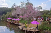 Quy hoạch mới mở ra cơ hội phát triển mới cho Khu du lịch Măng Đen tại Kon Tum