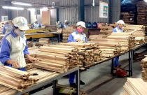 Một quốc gia châu Âu nhập khẩu trăm triệu USD đồ gỗ nội thất của Việt Nam, là thị trường nhập khẩu lớn thứ 3 thế giới