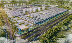 Cọ Xanh: Phân khu tại Vinhomes Ocean Park 2 The Empire