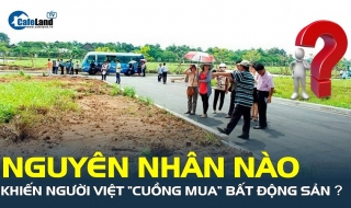 Nguyên nhân nào khiến người Việt “cuồng mua” bất động sản?